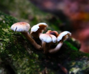 Beauty of Nature