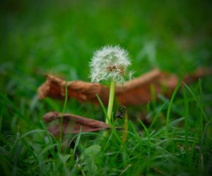 Beauty of Nature